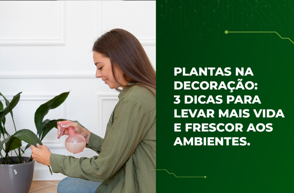 plantas na decoração